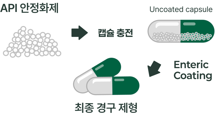 경구제형 프로세스